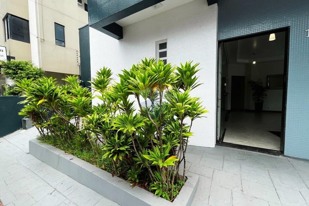 Casa Comercial - Alugar - Balneário Camboriú , Santa Catarina - d1b85200-5a8f-46aa-acc2-ae8c6c204a1c.jpg - 590531040-5