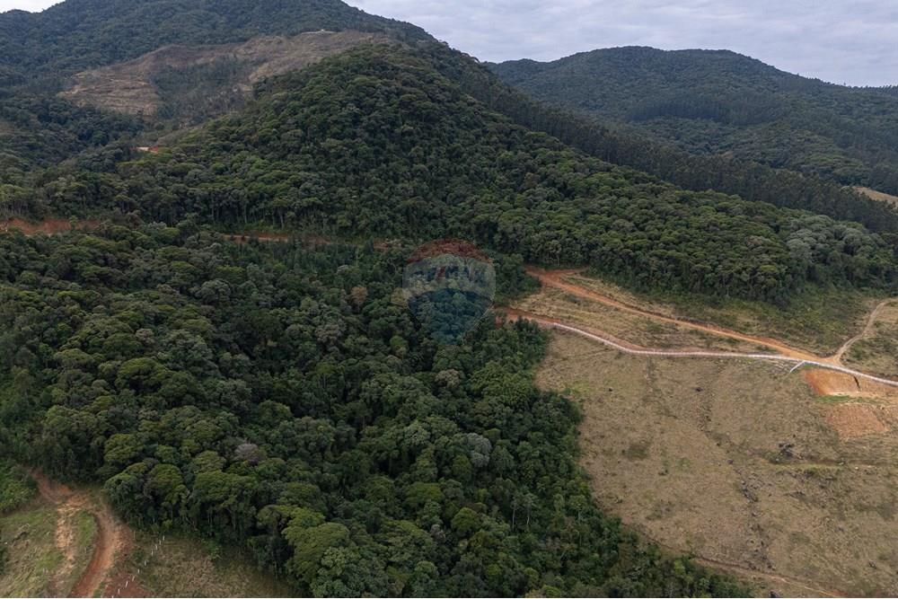 Chácara / Sítio / Fazenda - Venda - São Martinho , Santa Catarina - DJI_20250711082528_0725_D_DJI4.jpg - 590461004-22