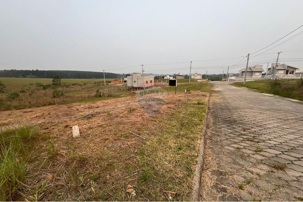 Terreno - Venda - Criciúma , Santa Catarina - IMG-20240910-WA0046.jpg - 590311017-48