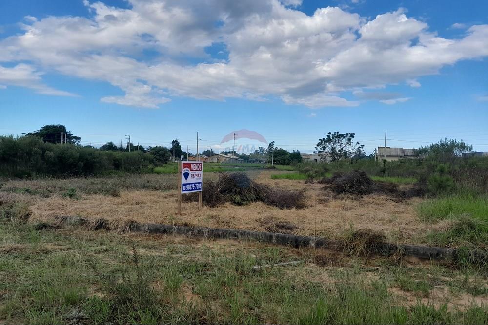 Terreno - Venda - Santa Rosa do Sul , Santa Catarina - 20250409_152030.jpg - 590491005-4