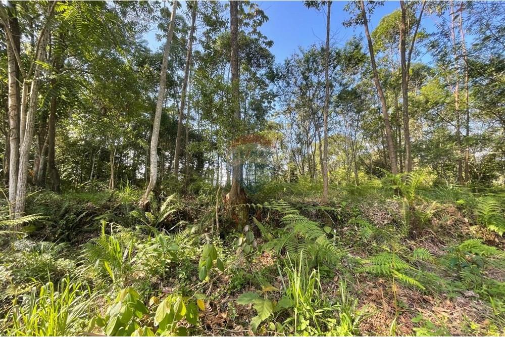 Terreno - Venda - Criciúma , Santa Catarina - WhatsApp Image 2025-12-18 at 18.53.15.jpeg - 590311026-43