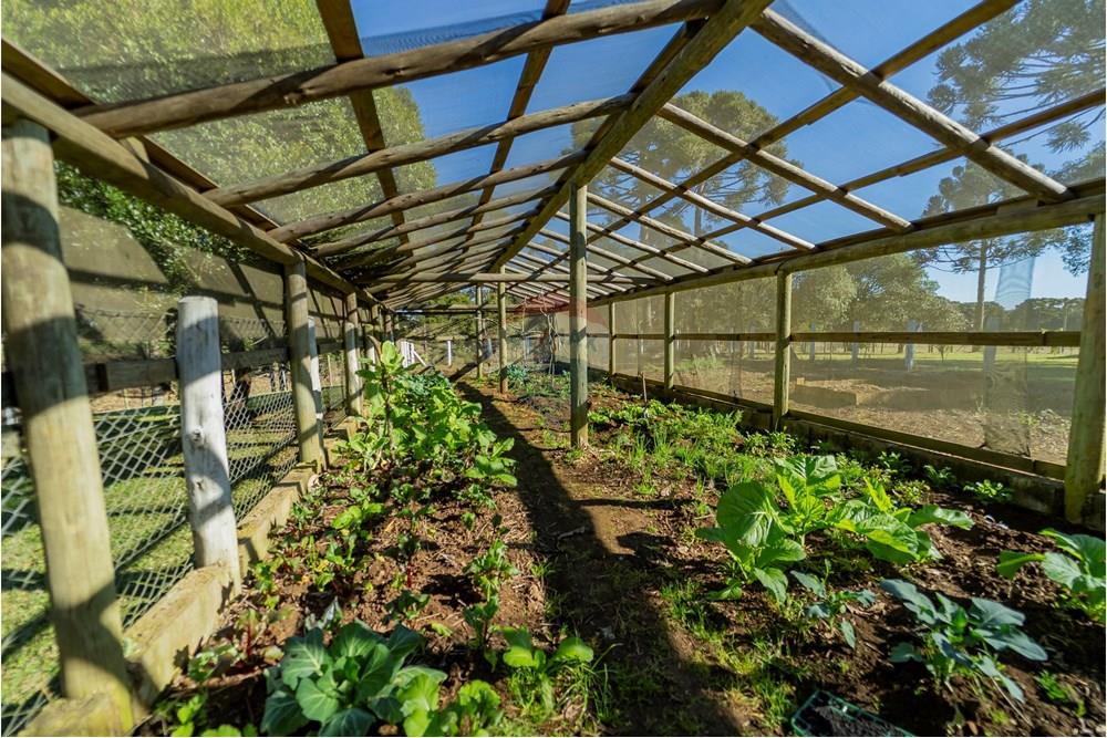 Chácara / Sítio / Fazenda - Venda - Capão Alto , Santa Catarina - DSC03801.jpg - 590071002-440