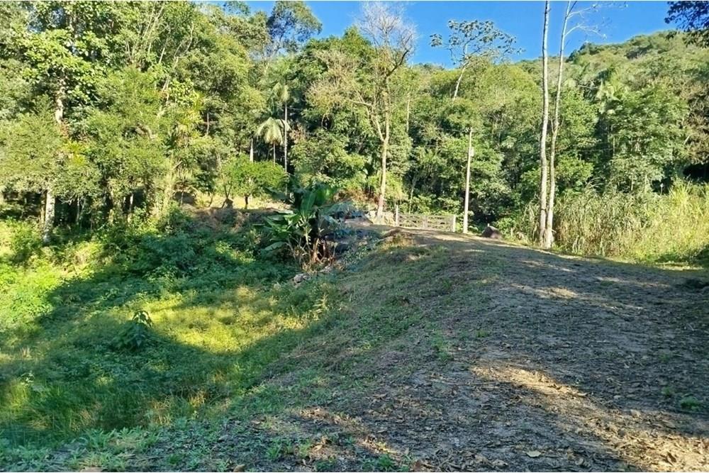 Terreno - Venda - Benedito Novo , Santa Catarina - WhatsApp Image 2025-09-09 at 17.07.56 (1).jpeg - 590301027-106