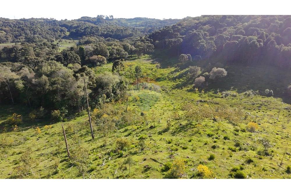 Chácara / Sítio / Fazenda - Venda - São José do Cerrito , Santa Catarina - DJI_20251111164456_0034_D.JPG - 590071044-13