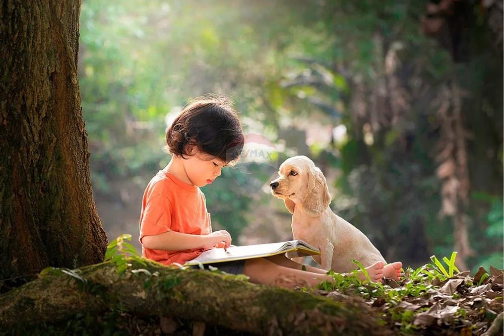 Apartamento - Venda - Porto Belo , Santa Catarina - all-resort.jpg - 590511018-7