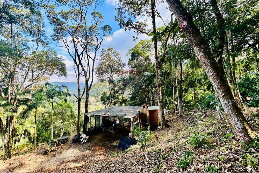 Chácara / Sítio / Fazenda - Venda - Itapema , Santa Catarina - WhatsApp Image 2025-07-14 at 16.25.47.jpeg - 590401053-3