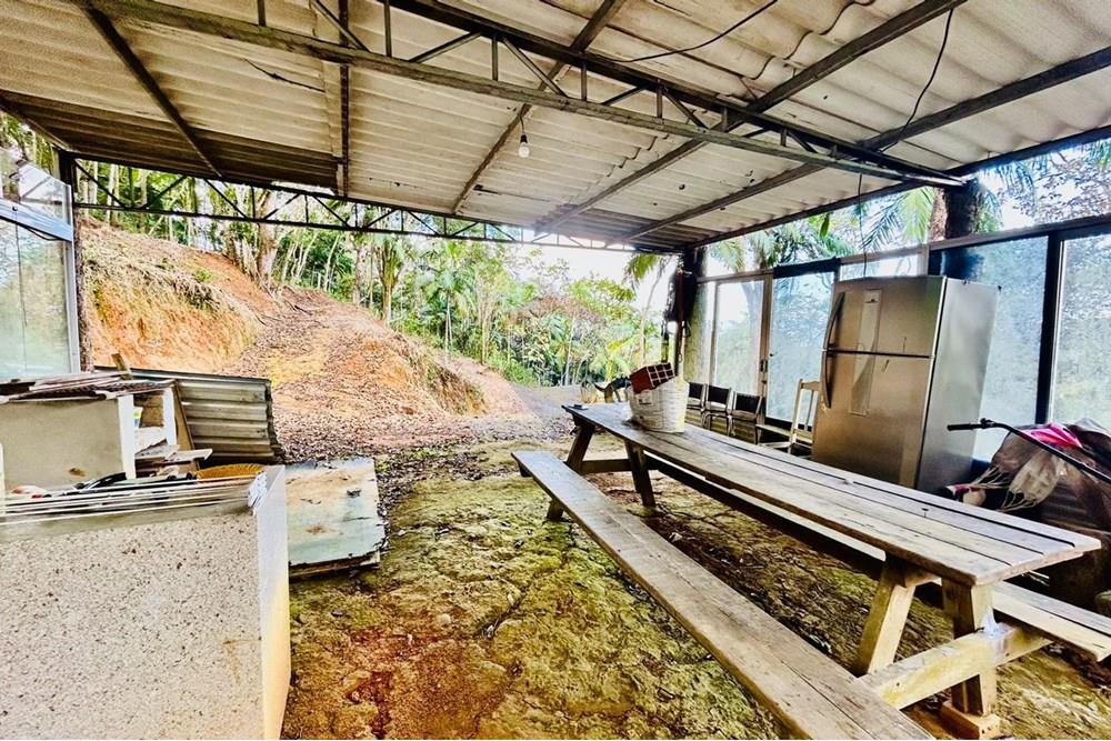 Chácara / Sítio / Fazenda - Venda - Itapema , Santa Catarina - WhatsApp Image 2025-07-14 at 16.25.40 (1).jpeg - 590401053-3