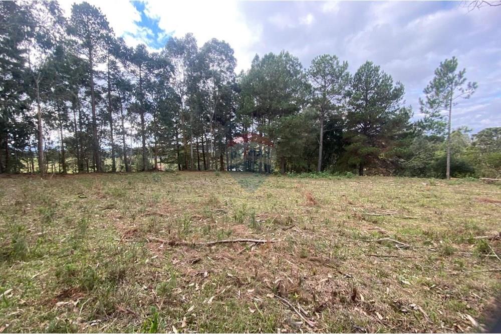 Terreno - Venda - Lages , Santa Catarina - 4731fc03-3cce-4d58-bbe3-f1421b3433de.jpg - 590071041-14