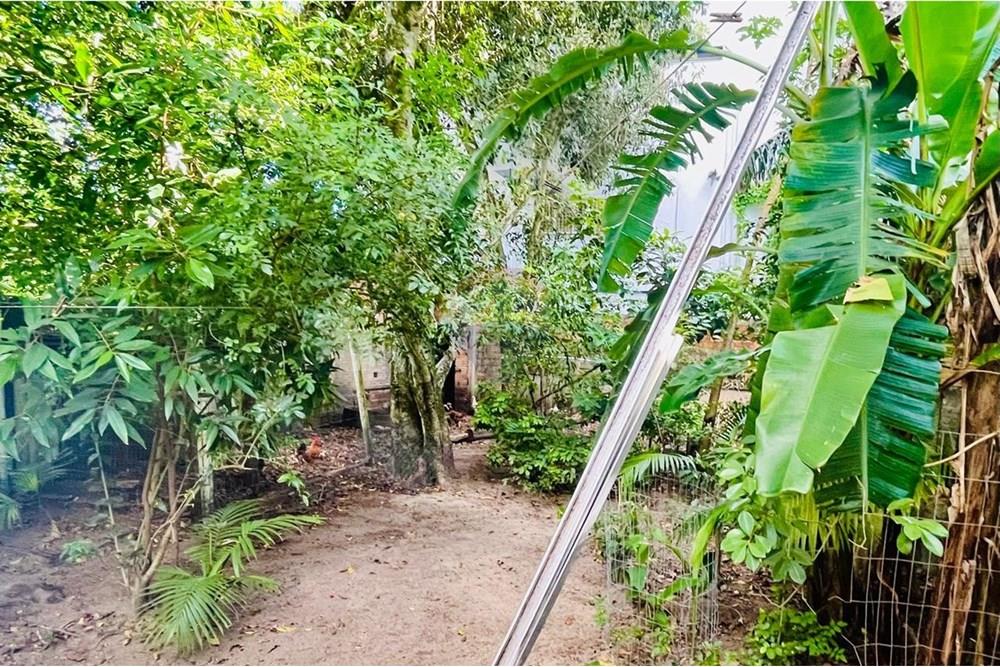 Terreno - Venda - Navegantes , Santa Catarina - Imagem do WhatsApp de 2025-02-04 à(s) 12.53.07_a603692b.jpg - 590091044-43