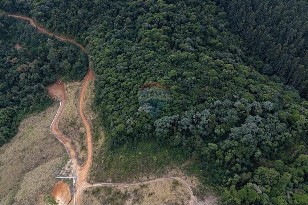 Chácara / Sítio / Fazenda - Venda - São Martinho , Santa Catarina - DJI_20250711082926_0734_D_DJI4.jpg - 590461004-22