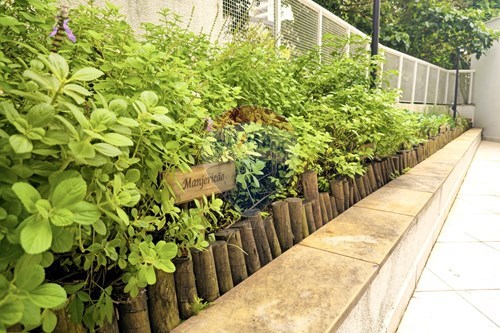 Slider Image Thumbnail