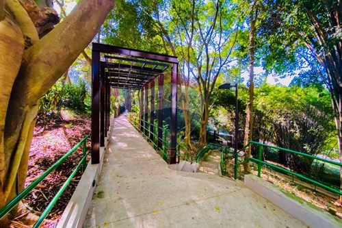 Slider Image Thumbnail