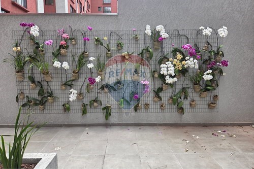 Alugar-Apartamento-Vila Andrade , São Paulo , São Paulo , 05728050-601361081-36