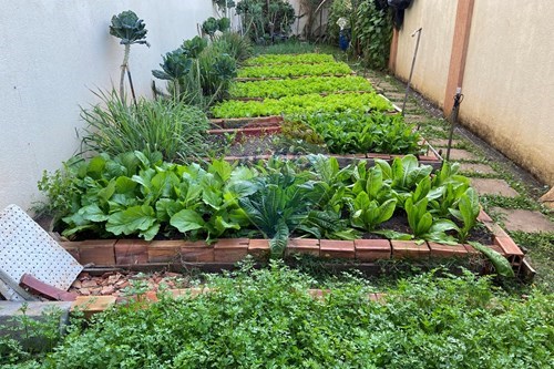 Slider Image Thumbnail