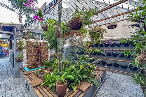 Slider Image Thumbnail