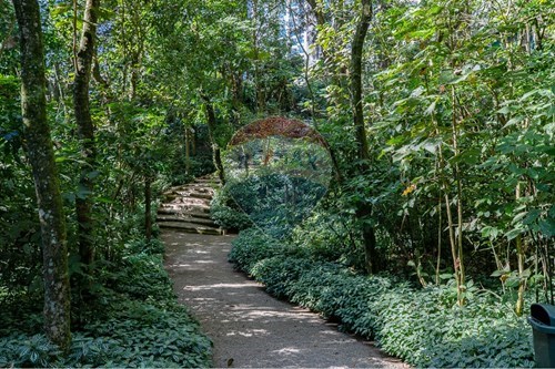 Slider Image Thumbnail