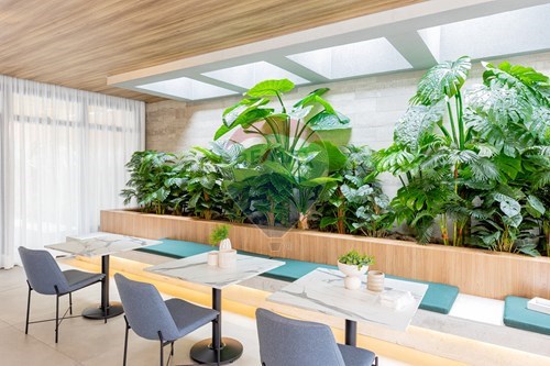 Slider Image Thumbnail