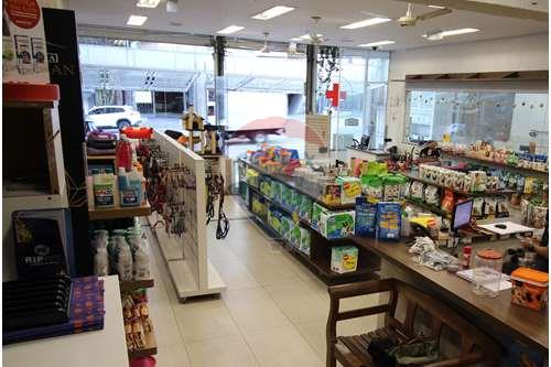 Alugar-Ponto Comercial/ Loja-Pompeia , São Paulo , São Paulo , 05005030-602281010-19