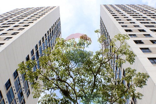 Venda-Apartamento-Rua Anália Franco , 30  - Vila Regente Feijó , São Paulo , São Paulo , 03344-040-601251281-1