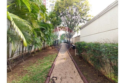 Apartamento - Alugar - São Paulo , São Paulo - WhatsApp Image 2024-01-29 at 13.54.37 (1).jpg - 602101008-110