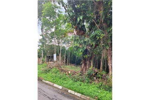 For Sale-Land-Rua Campo da Princesa , Lote 1C  - Rua José Giorgi, 610 (km 26,5 da Rodovia Raposo Ta  - Granja Viana II , Cotia , São Paulo , 06707-325-601371016-15