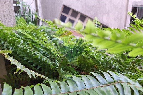 Slider Image Thumbnail