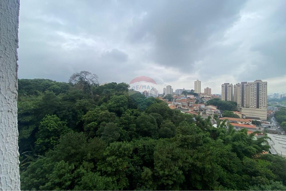 Apartamento - Alugar - São Paulo , São Paulo - IMG_6288.jpeg - 602411005-53