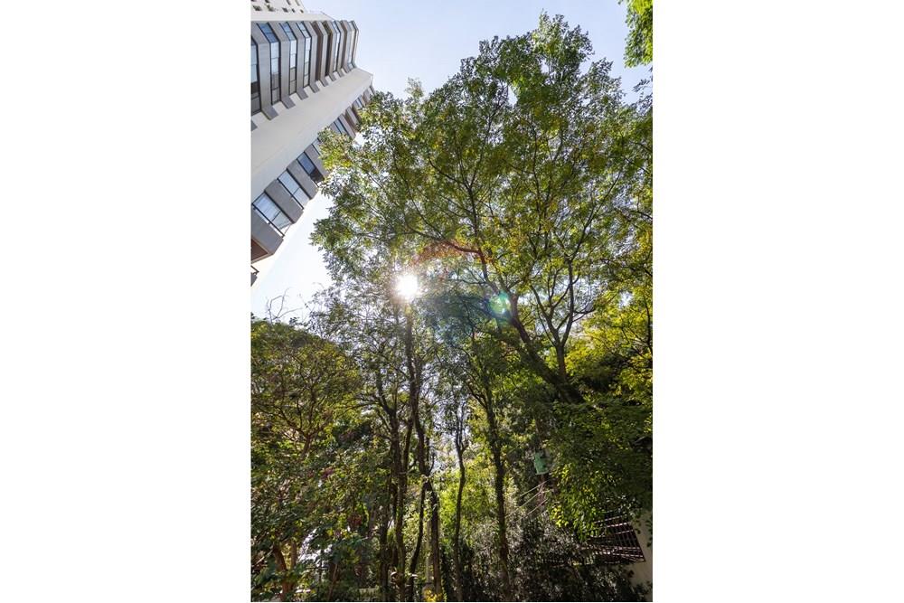 Apartamento - Venda - São Paulo , São Paulo - 01fotos_065.jpg - 601351141-15