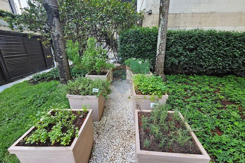 Apartamento - Alugar - São Paulo , São Paulo - 20260325_144606.jpg - 601971076-182