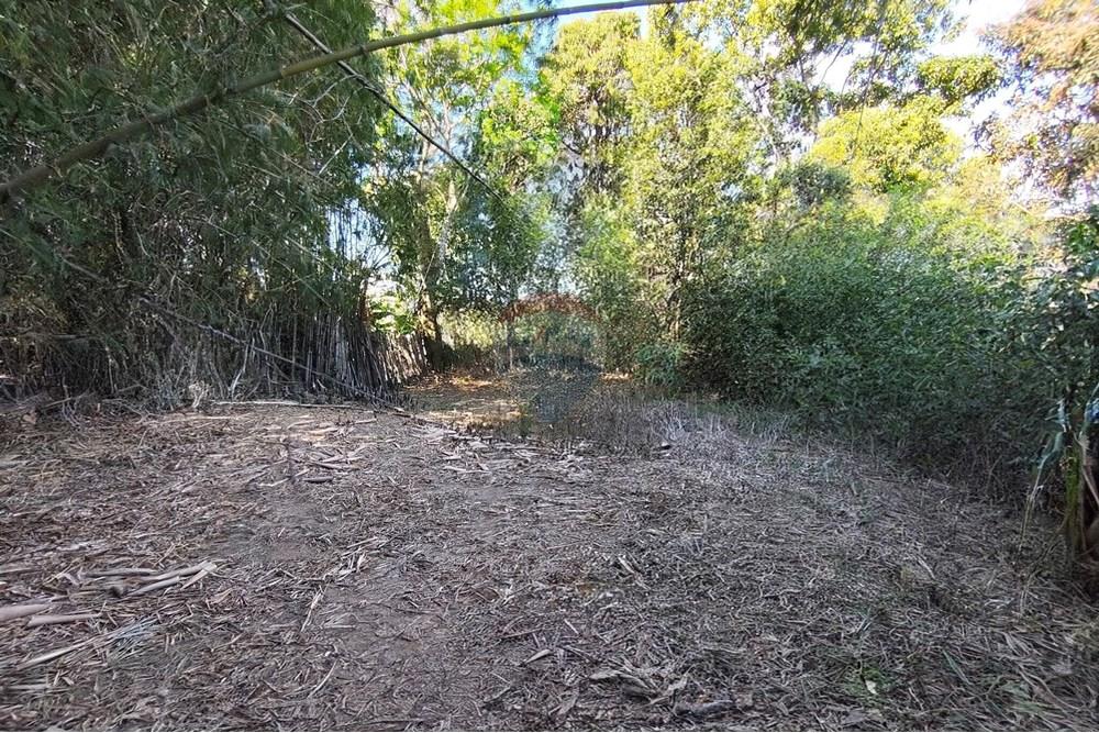 Terreno - Venda - Ferraz de Vasconcelos , São Paulo - IMG_20250918_145911.jpg - 601451005-109