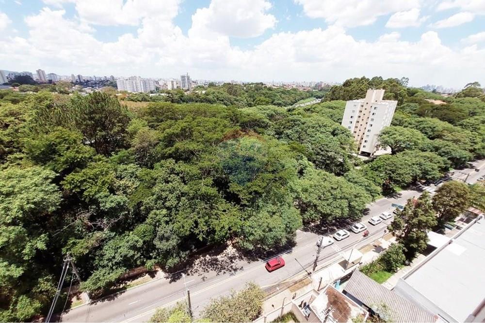 Apartamento - Alugar - São Paulo , São Paulo - 20260109_124253.jpg - 602381002-148