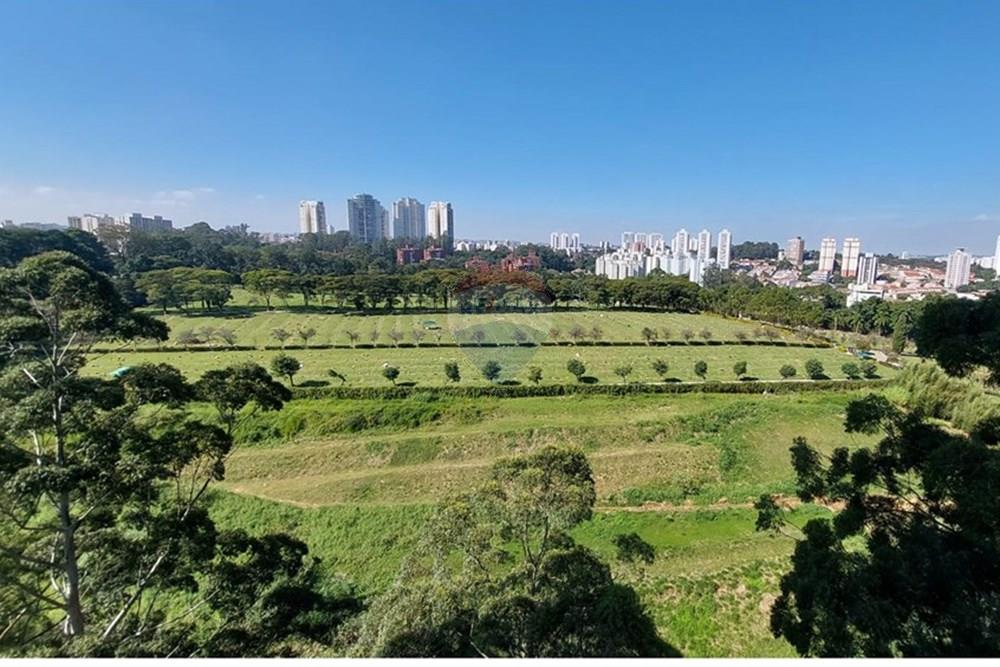 Apartamento - Alugar - São Paulo , São Paulo - WhatsApp Image 2025-05-16 at 05.41.05.jpeg - 602151006-60