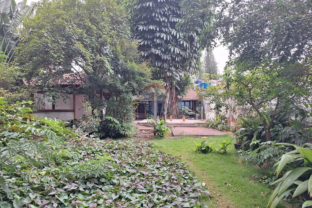 Terreno - Venda - São Paulo , São Paulo - 20260224_175535.jpg - 602271022-177