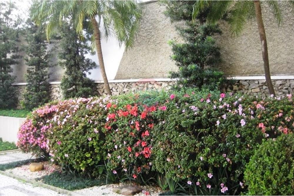 Apartamento - Alugar - São Paulo , São Paulo - IMG_2508.JPG - 602271022-164