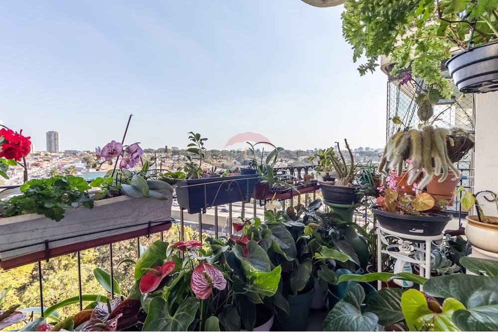 Apartamento - Venda - São Paulo , São Paulo - IMG_150724.jpg - 601721006-98