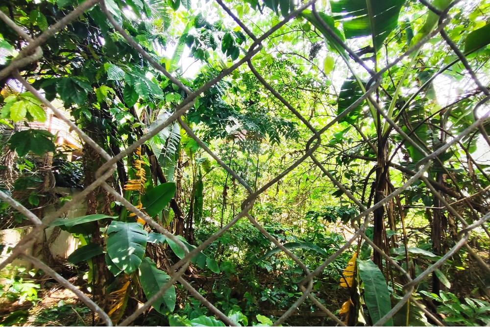 Terreno - Venda - São Paulo , São Paulo - 1740425913539.jpg - 602171003-30