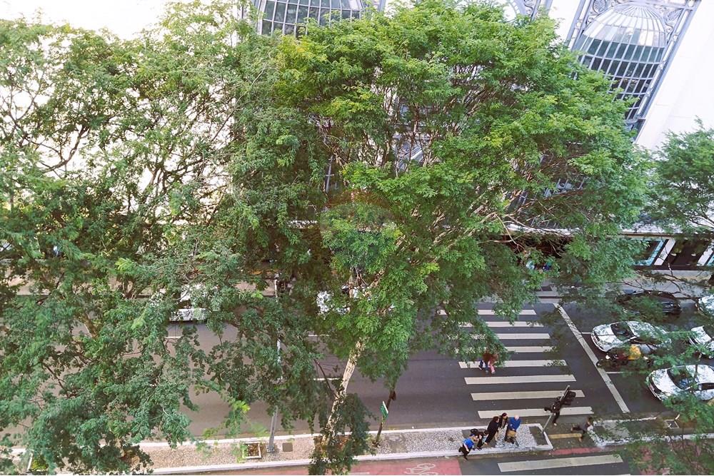 Cj. Comercial/ Sala - Alugar - São Paulo , São Paulo - 20 vista.jpg - Layout aberto - 601081093-10