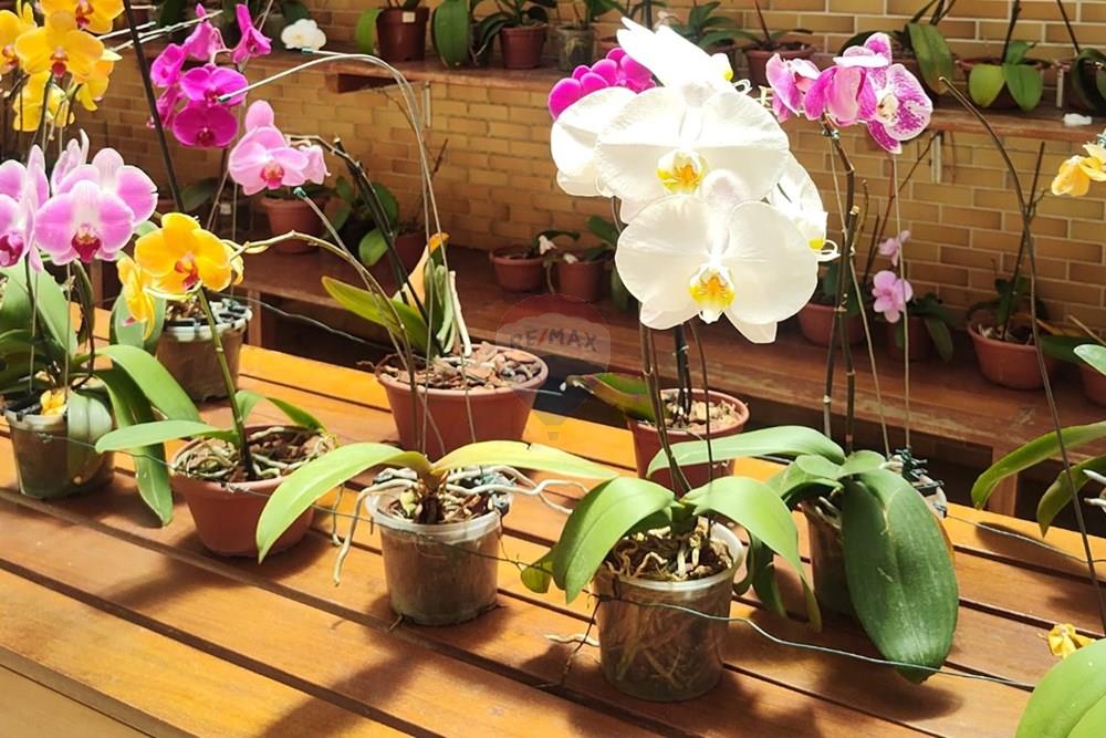 Apartamento - Venda - São Paulo , São Paulo - 043-4ee40bd7-e7f4-405e-b9c9-ebc1804003be.jpeg - Fachada - 601371031-84