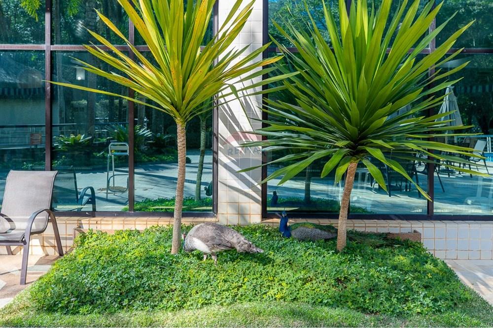 Apartamento - Alugar - São Paulo , São Paulo - 1729822484855-01fotos_071.jpeg - 602321003-89