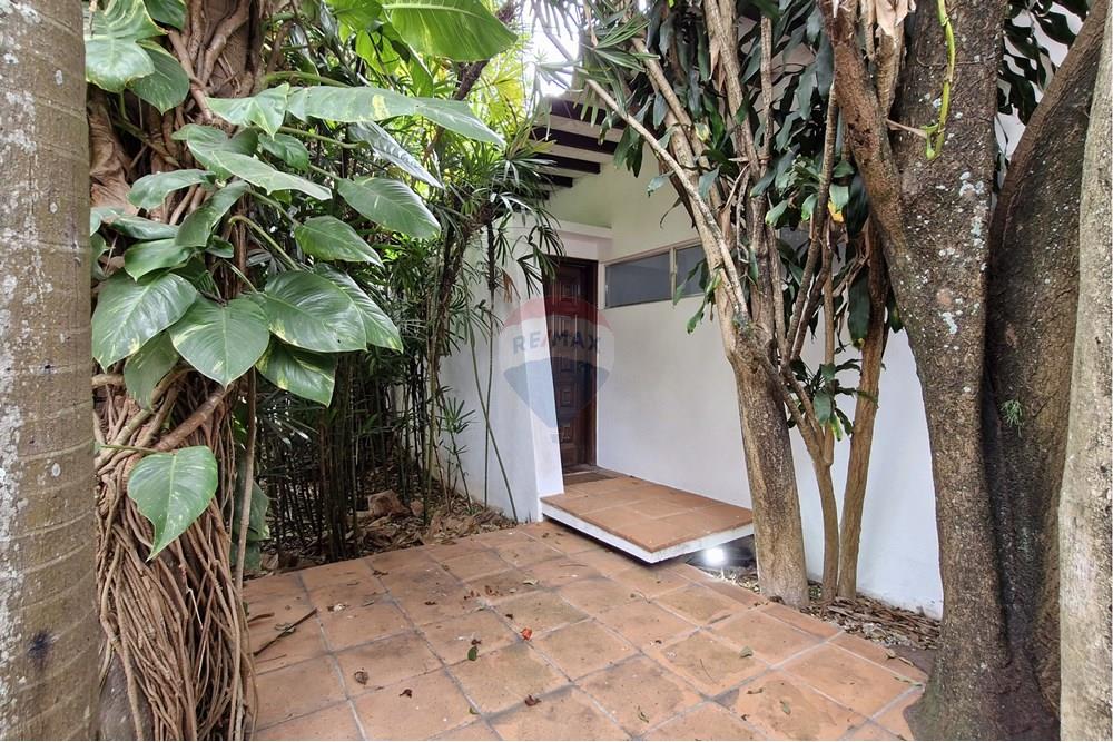 Residential - Rumah Terpisah - São Paulo , São Paulo - BR - RUA OLEGÁRIO MARIANO, 347 (13).jpg - Garden - 601361045-17