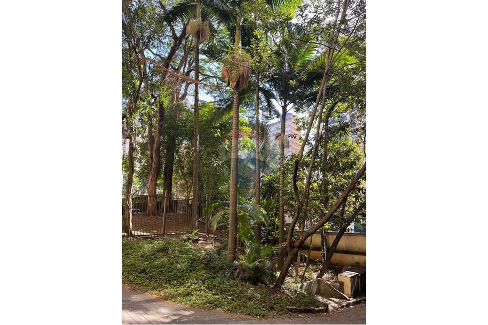 Prédio - Alugar - São Paulo , São Paulo - 11.jpg - 602281033-5