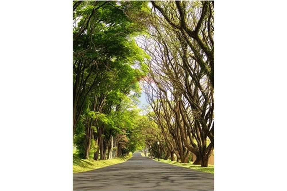 Terreno - Venda - Itupeva , São Paulo - galeria-fotos-2.6fabfb4c.jpg - Closet - 601081013-36