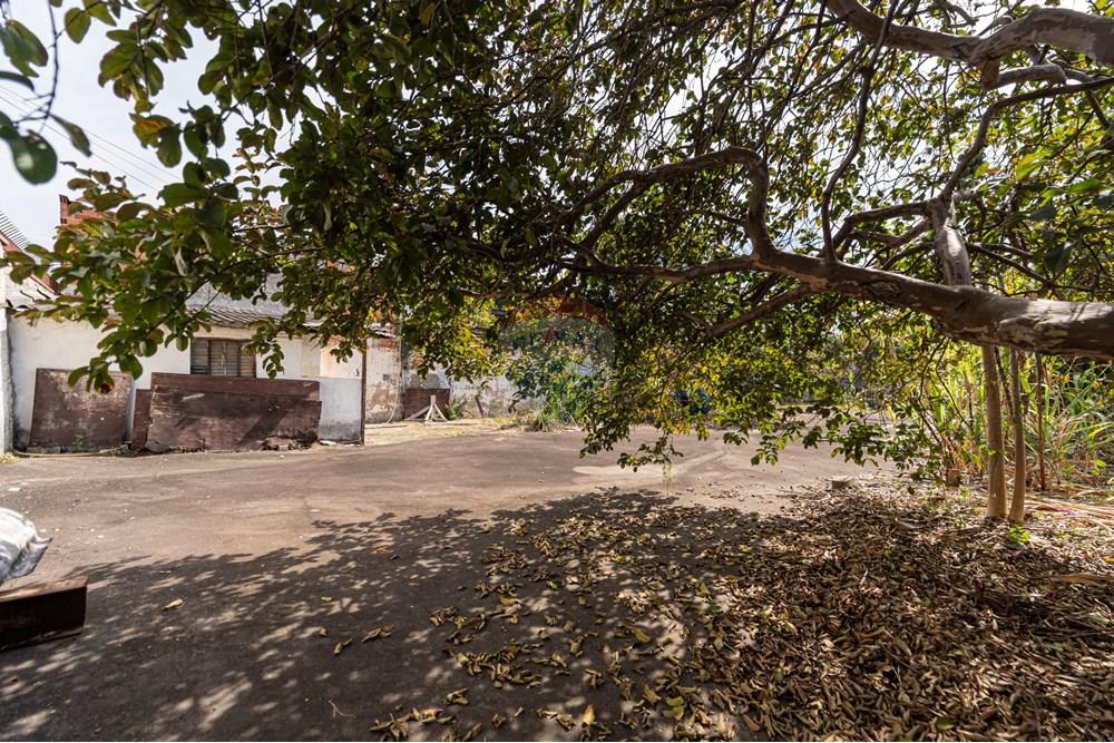 Terreno - Venda - São Paulo , São Paulo - 601301082-18-1.JPG - 601301082-20