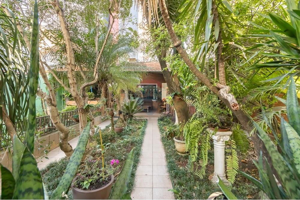 Casa - Venda - São Paulo , São Paulo - IMG_294912.jpg - Jardim Externo - 602161016-20