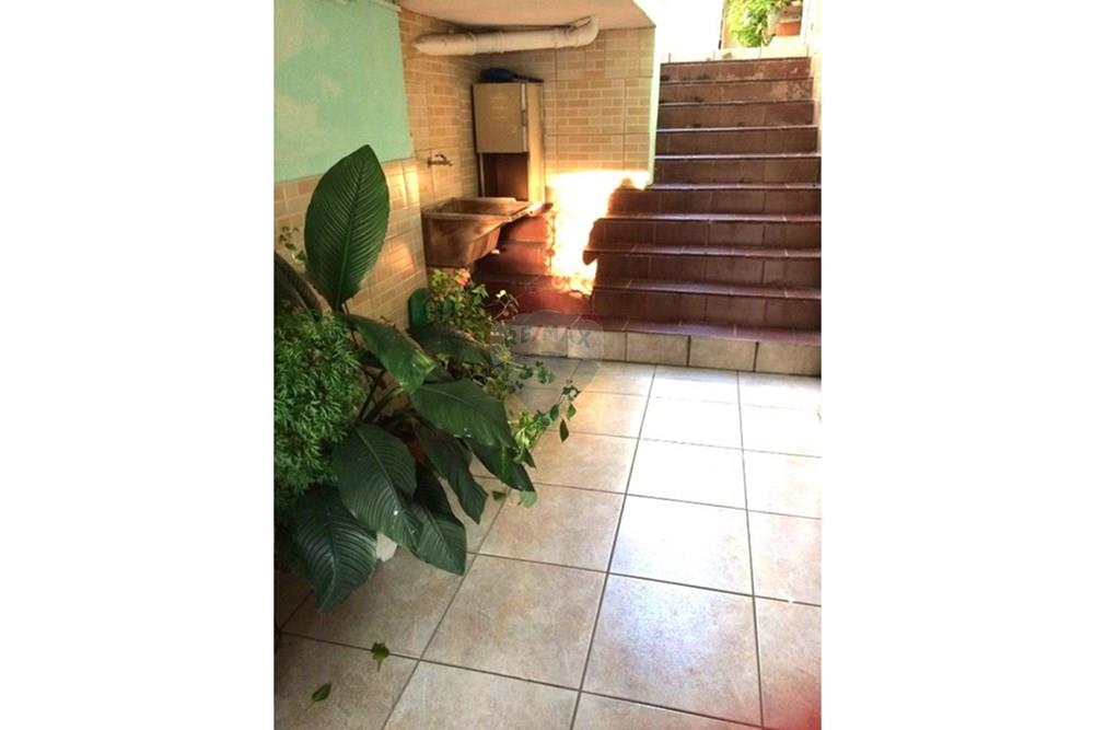 Casa - Alugar - São Paulo , São Paulo - 1.jpg - 602291016-338