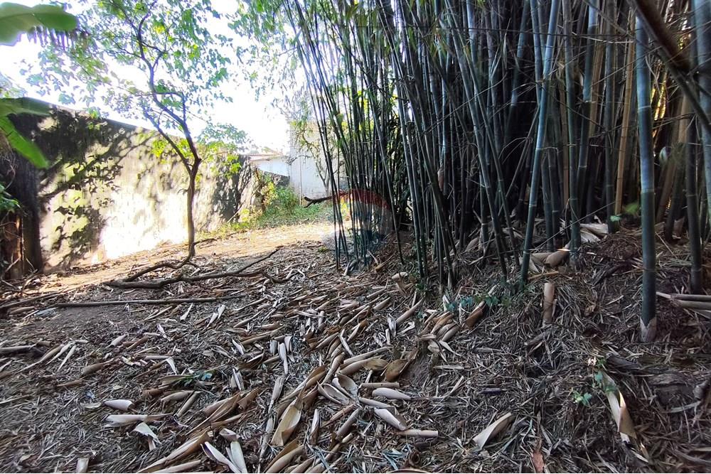 Terreno - Venda - Ferraz de Vasconcelos , São Paulo - IMG_20250918_150235.jpg - 601451005-109