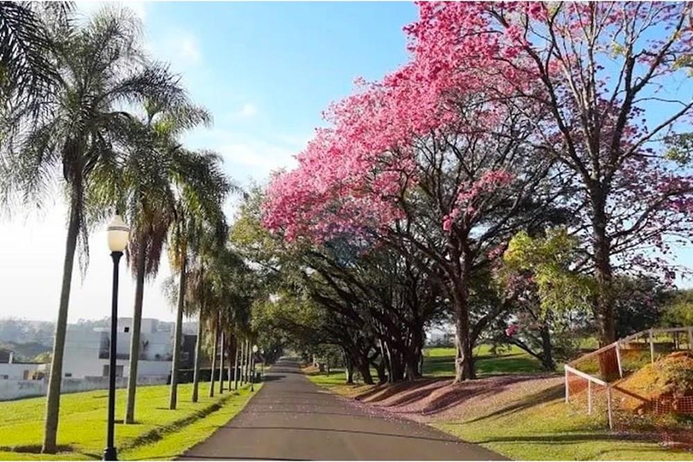 Terreno - Venda - Itupeva , São Paulo - Ipess.jpg - Conservatório - 601081013-36