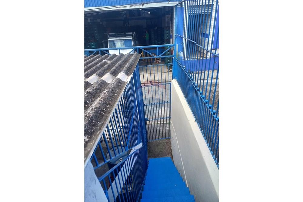 Casa - Alugar - São Paulo , São Paulo - 20251020_100706.jpg - 602131003-412