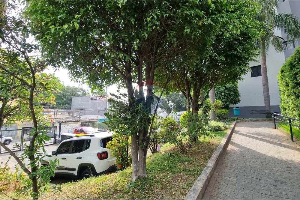 Apartamento - Alugar - São Paulo , São Paulo - Imagem do WhatsApp de 2025-12-01 à(s) 19.00.47_ced61554.jpg - 601751011-939