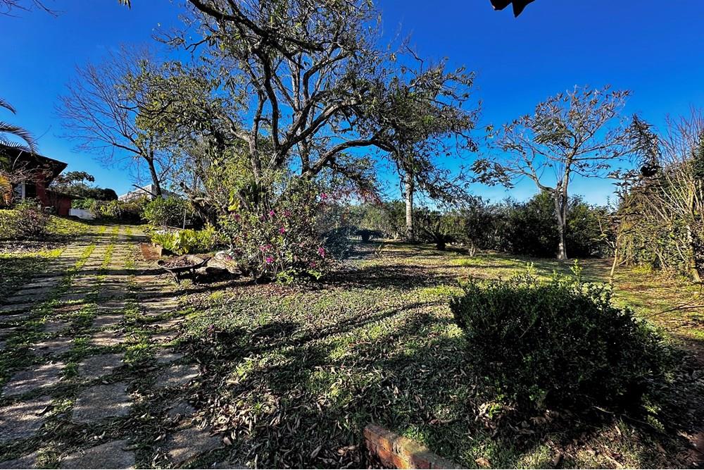 Terreno - Venda - Cotia , São Paulo - IMG_9051.jpg - 602331010-41